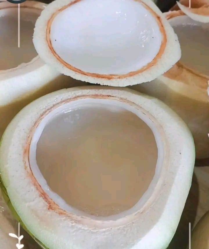 Fresh Young Coconut