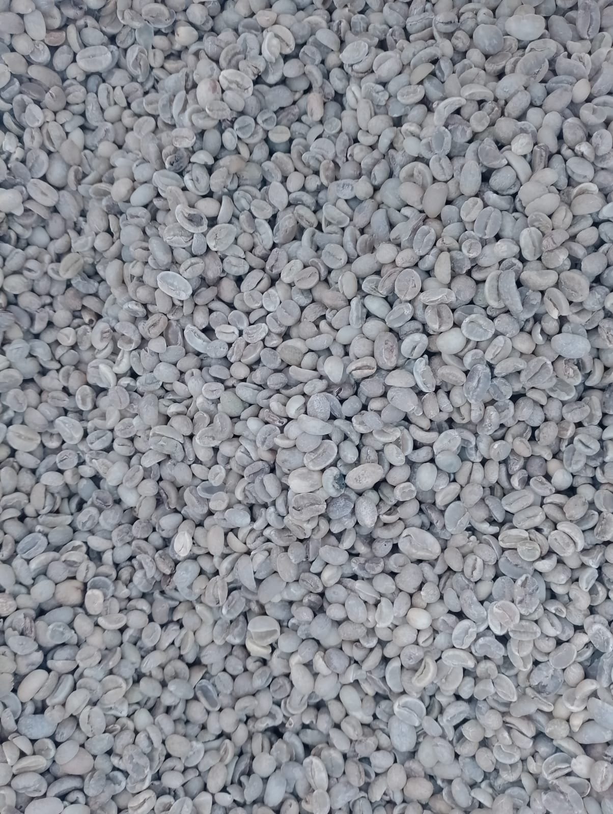 ARABICA FULLWASH GRADE 2 IJEN RAUNG