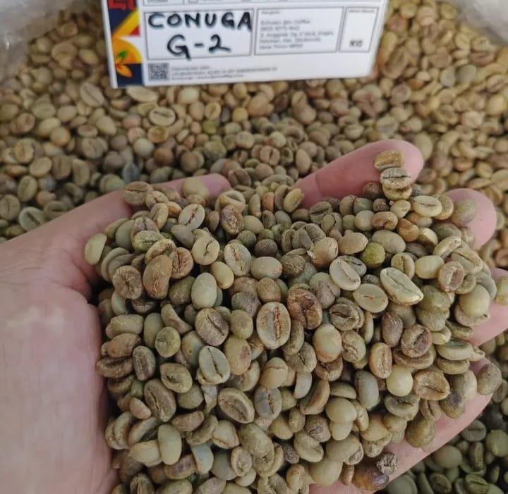 Robusta Conuga Grade 2, Ijen, Raung