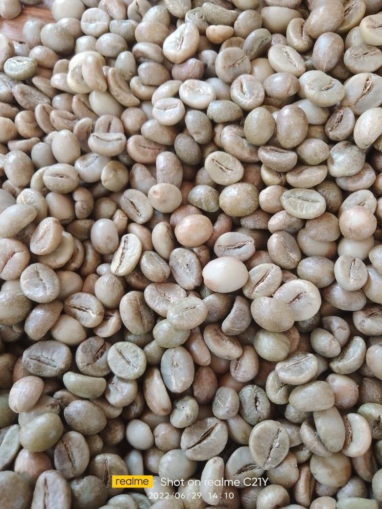 Robusta Conuga Grade I Ijen, Raung