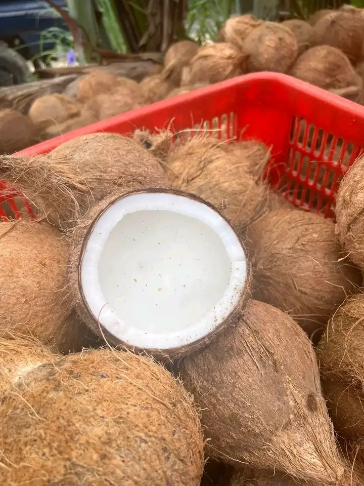 1767245306859 - Darul Choiri.jpg